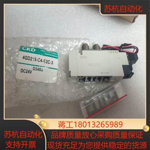 全新原装正品CKD气动电磁阀型号4GD219-C4-E2