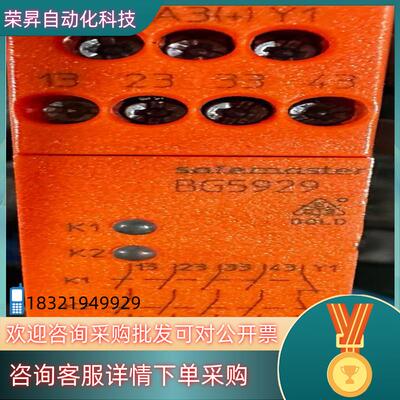 现货原装多德安全继电器BG5929.04/100AC/DC2