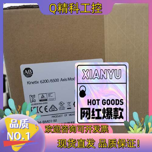 现货2094-BM01-M 罗克韦尔伺服驱动器 AB出