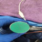 倍加福NEB22 30GM60