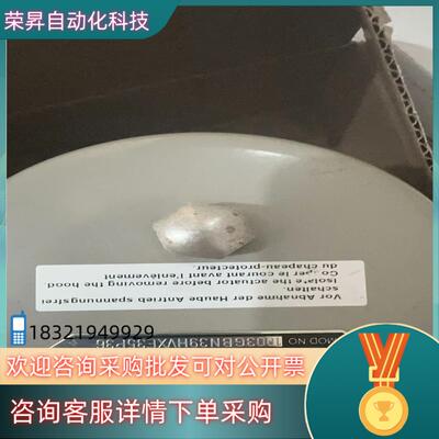 德国拜爵badger meter3/4寸伺服电机控制阀  型