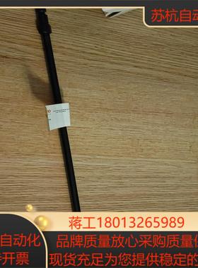 赛默飞阳离子色谱柱 cs12a2×250mm货号0460