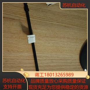 赛默飞阳离子色谱柱 cs12a2×250mm货号0460