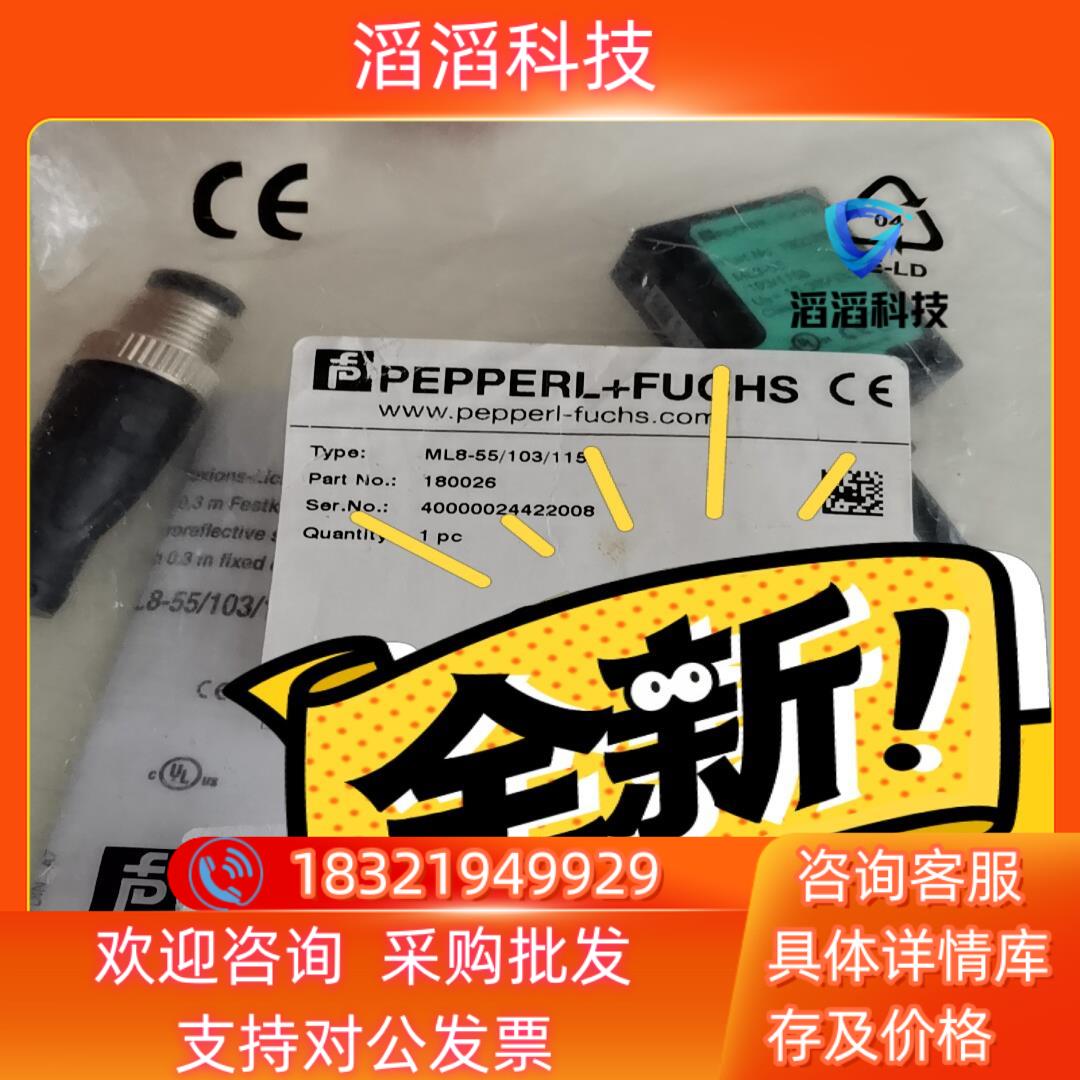 ML100-8-H-350-RT/102/115 21689