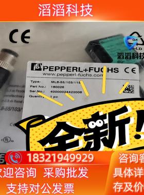 ML100-8-H-350-RT/102/115 21689