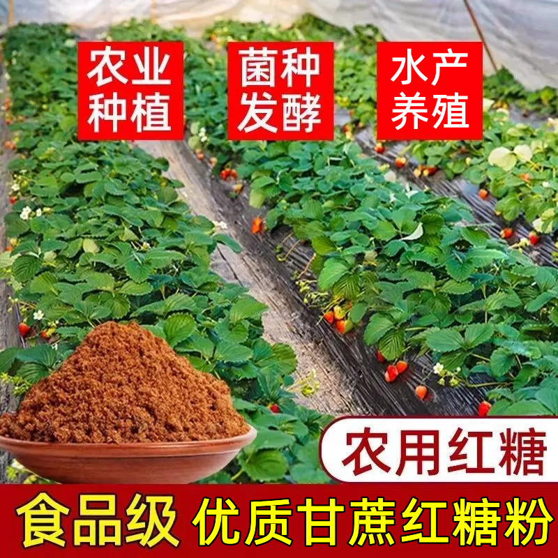 工农业种植专用食品级红糖酵母粉