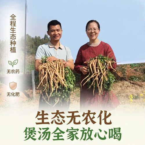 四川沙参原生态滋补煲汤健康食材