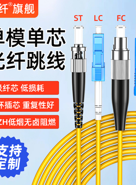 赛纤电信级光纤跳线SC-SC转LC-LC-FC-ST跳纤单模单芯/双芯尾纤方转方转圆光纤延长线成品尾纤1米2米3米5米