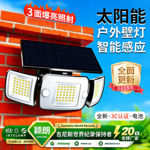 太阳能分体式人体感应灯