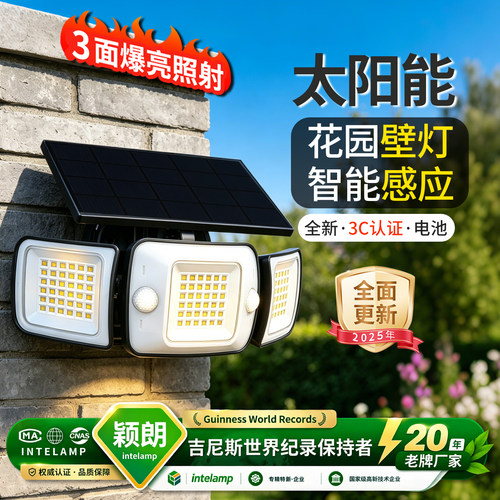 太阳能分体式人体感应灯