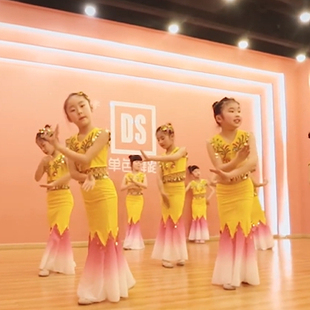 同款专业定制舞蹈《傣家小妹走过来》儿童群舞舞台演出表演服装