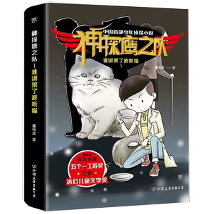 董恒波 神探鹰之队1谁绑架了波斯猫 中国友谊出版 公司 9787505746480书籍 中国儿童文学 书