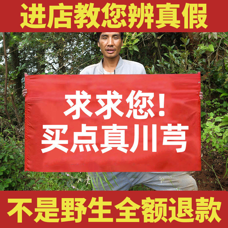 【真野生】深山川穹中药材四川正品老川穹片搭当归丹参四物汤