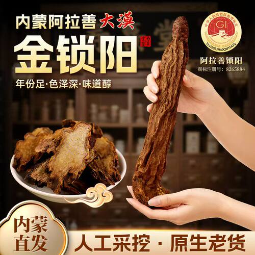 阿拉善金锁阳正品男滋补泡茶泡酒料搭肉苁蓉玛卡锁阳中药材店