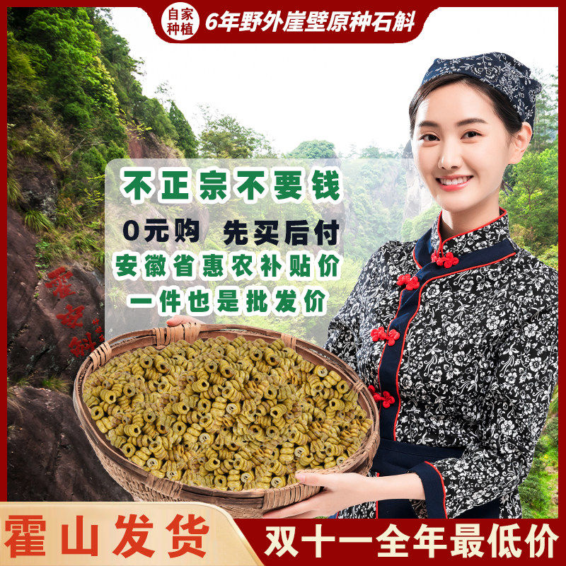 正宗霍山铁皮石斛石斛风斗纯粉滋补正品官方好吃店中药材500g