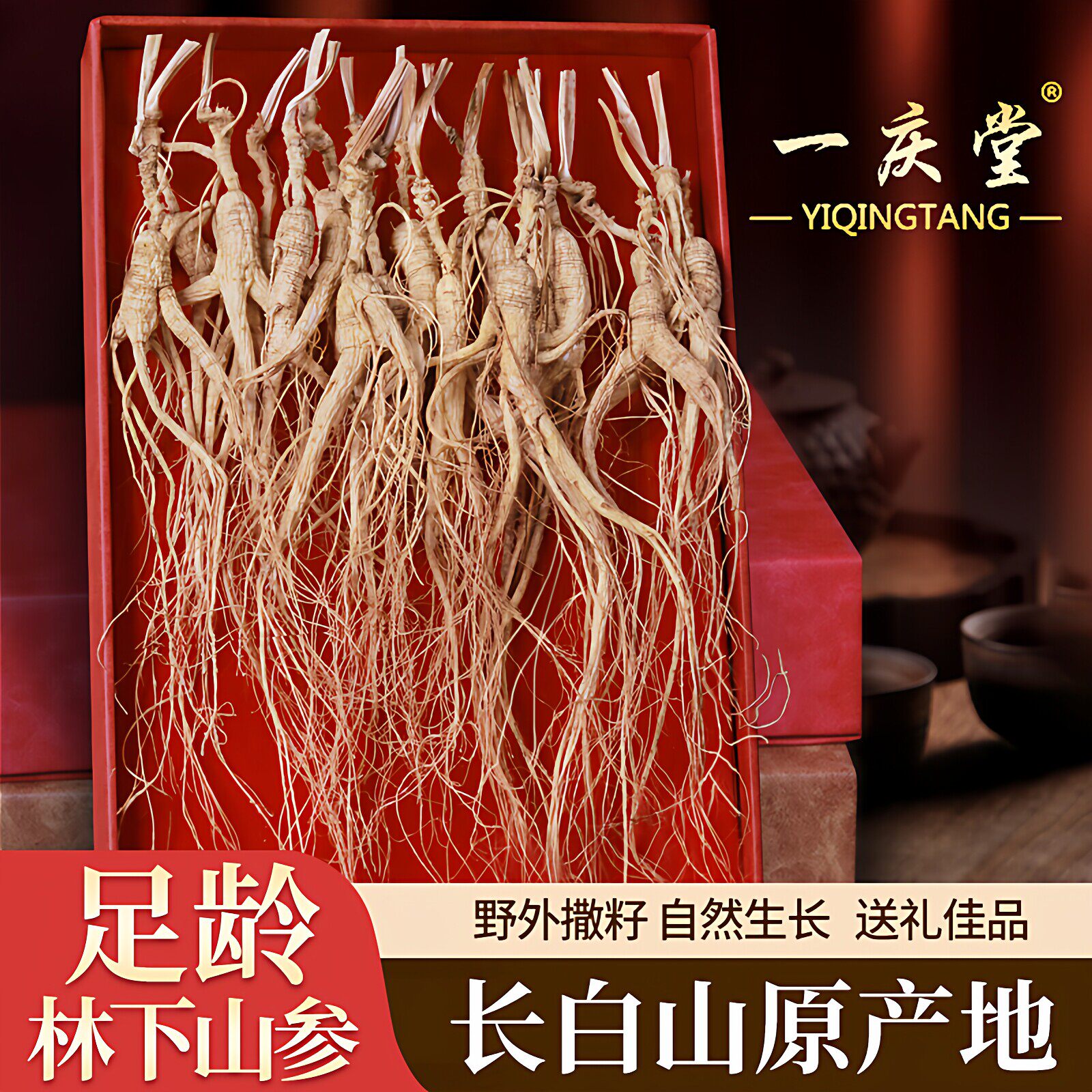 长白山东北林下参干货泡酒人参野生状态下自然生长林下山参店