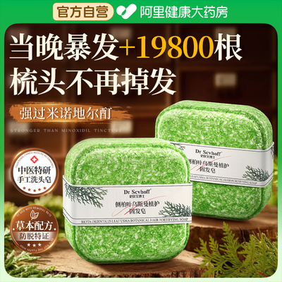 侧柏叶草本手工皂防脱发断发N0.1