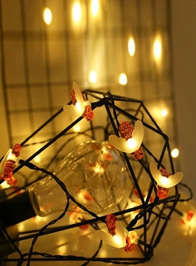 5m Solar Lights String 20 Led Honey Bee Shape Solar Powered
