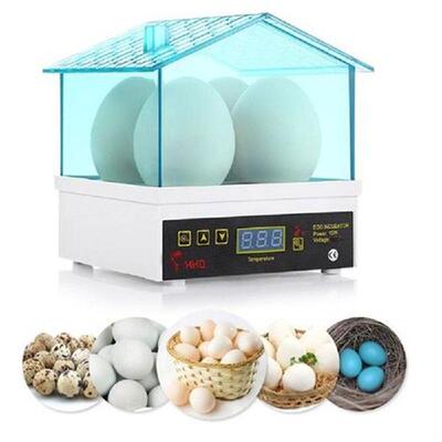 4pcs Incubator for Eggs Rotate Brooder Chicken Quail Egg
