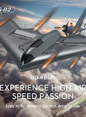 Ls-B2 Ls-B3 2.4G RC Airplane Drone Toys Stealth Bomber