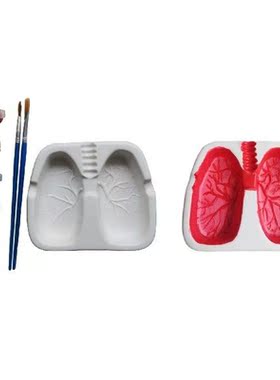 Fashion Lungs Ashtray Ceramic Cigarette Ashtray for Home