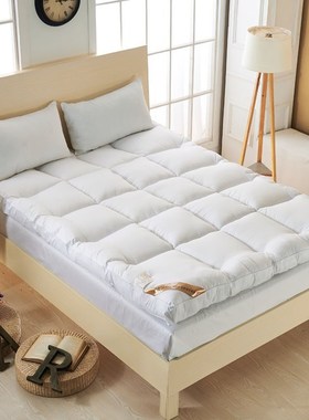 Thicker goose down fiber mattress topper bed mattress single
