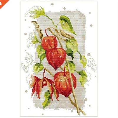 Cross Stitch Kits Stamped For Adults Beginner Kids, Red Goos