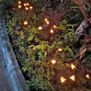 Solar Lighting 2pcs Landscape Decorative Durable Honeybee