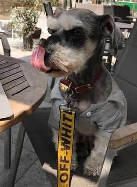 Fashion Pet Dog Collar Leash 1.6M Nylon Rope Dog Pet Leash L