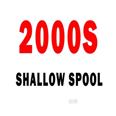 DAIWA Fishing reel REGAL LT 9 1BB Spinning Reels Shallow/Dee