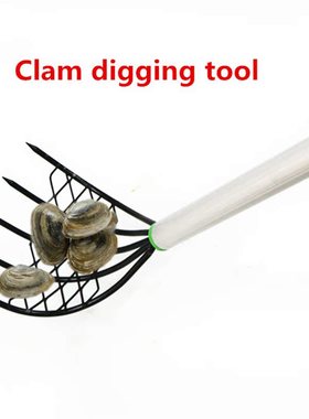 stainless steel Five Teeth Harrow Shell Conch Clam Beach