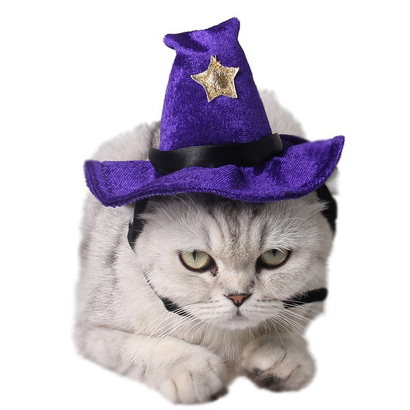 Funny Pet Halloween Costumes Party Witch Hat Costume
