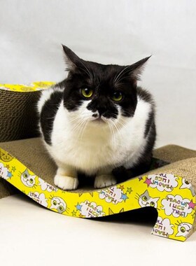 Pet Cat Scratching Corrugated Board Toy Grinding Claw Pad Sm