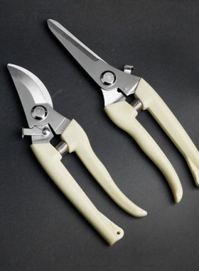 Pruner Tree Cutter Gardening Pruning Shear Scissor Stainless