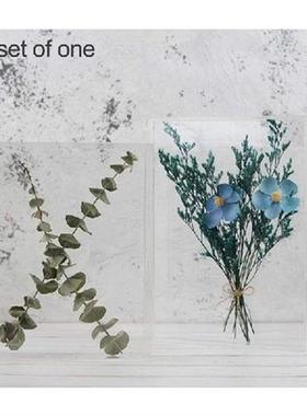 Shadow Box Frame Acrylic Photo Frame DIY Desktop Display