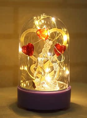 Copper Wire Glass LED String Night Light Dome Lamp Home Deco
