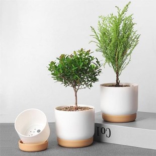 Automatic Water-Absorbing Succulent Plant Pot Double Layer S