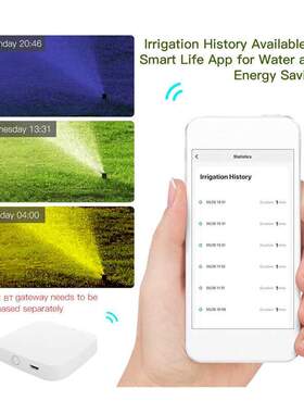 Tuya APP BT Water Timer Rain Delay Programmable Irrigation T
