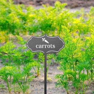 Metal Flowers Outdoor Decor Rustic Plantation Plant Tags