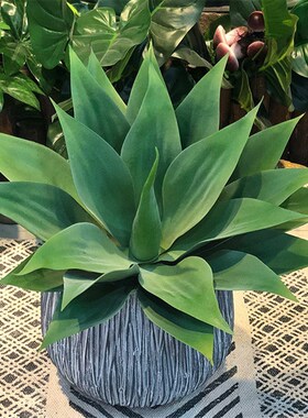 55cm Artificial Rare Agave Plants Indoor Plastic Branch Trop