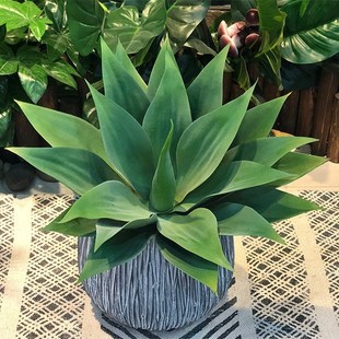 55cm Artificial Rare Agave Plants Indoor Plastic Branch Trop