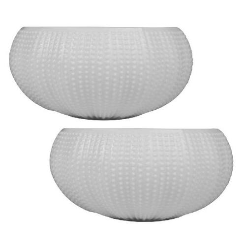 2 pcs Porcelain Serving Plate Sashimi Dish Salad Pasta Bowl