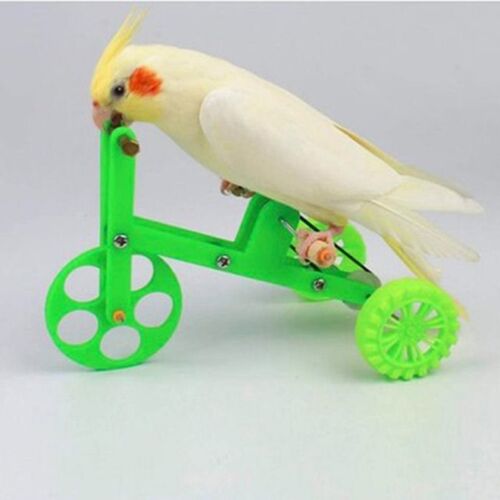 Funny Parrot Bike Toy Birds Training Plaything Educational I