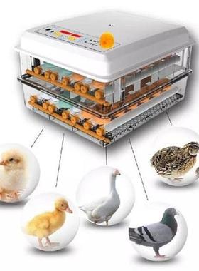 220V Eggs Incubator Brooder Bird Quail Chick Hatchery
