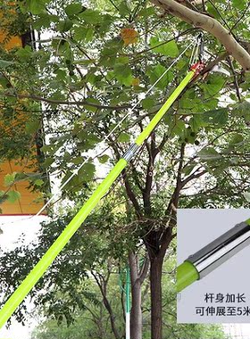 Pole Saw Reciprocating Saw Hand Tools Pruner Garden Woodwork