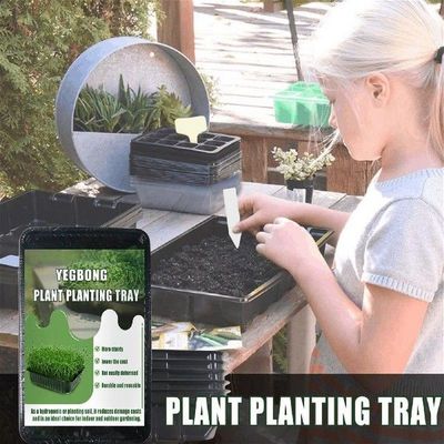 Plant Seedling Pots Flower Planting Trays Transplant