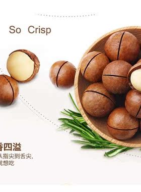 Quality Macamia nut Hawaii Nut Queensland Food in Bulk Wei