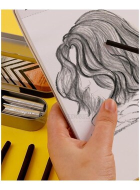 10pcs/set Willow Charcoal s Set Art Sketch Bars Sketching Pe