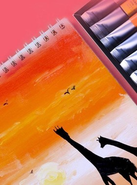 12/24 Colors Professional Acrylic Paint 20ml Drawing Paintin