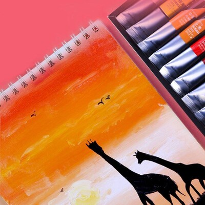 12/24 Colors Professional Acrylic Paint 20ml Drawing Paintin